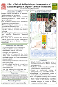 MDPI_poster_.pdf