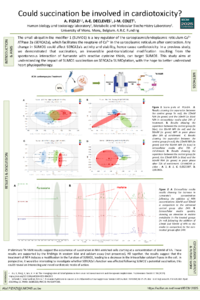 Poster IECM 2025 - FIZAZI Afaf.pdf