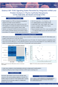 IECC Poster_29.05..pdf