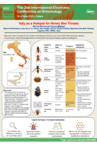 Italy_Hotspot_Mutinelli.pdf
