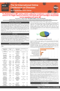 poster noura Sciforum 2025 MAI.pdf
