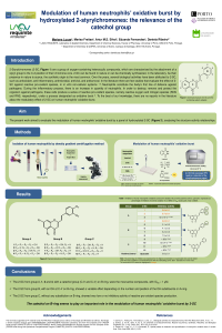 Poster ECB 2021_Mariana Lucas.pdf