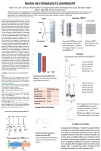 Functional Role - Presentation.pdf
