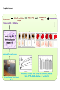 Graphical Abstract_Mol2net 2018.pdf