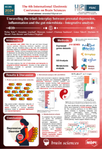 poster Wafaa TAHA.pdf