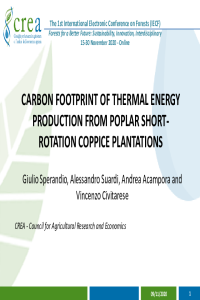sciforum-038170 presentation.pdf