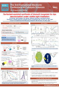 sciforum_112599_C_slides_Shirafuji_ECCS_poster.pdf