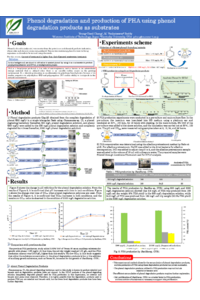 sciforum-102785 Phenol CHANG.pdf