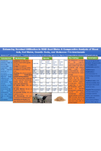 sciforum 157128 Olubunmi Ojoawo.pdf