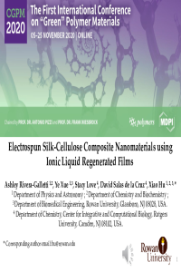 CGPM Presentation 11_4_2020.pdf