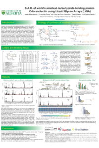 [2ndCPPC] sciforum-109405-S.A.R. of world's smallest carbohydrate-binding protein Odoranolectin using Liquid Glycan Arrays (LiGA)_Nov_27_2024_Kharchenko.pdf
