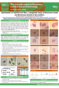 IECE 2025 Poster- 118112.pdf