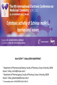 sciforum-066149  .pdf