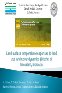 Rahimi_sciforum-043755_ppt.pdf