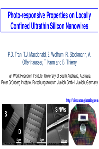 ECM-1_Photoresponsive of Silicon Nanowire_Presentation_Tran et al.pdf