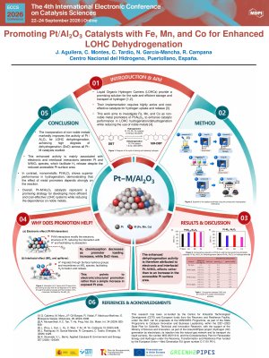 Poster_ECCS2026.pdf