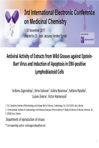 ecmc-3_ppt_Zagorodnya_2017.01.pdf