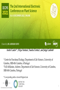 Presentation Caeiro et al.pdf