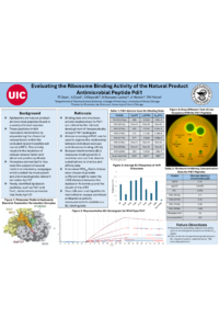 TDean 2CPPC VM Poster.pdf