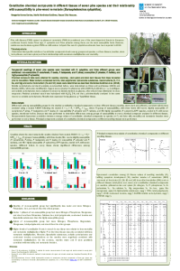 SCIFORUM 2020_poster M. Alonso_MM.pdf
