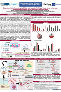 ONLINE_SARA FAIK.pdf
