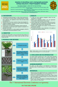 iecag2021 AP Adventitious rooting.pdf