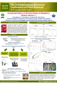 Bobrova_poster.pdf