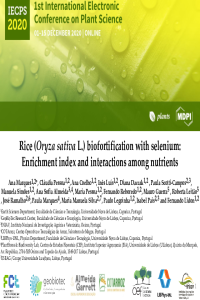 Presentation Plants - Marques et al.pdf