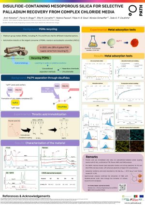 Poster_IOCRe_2026_Amir.pdf