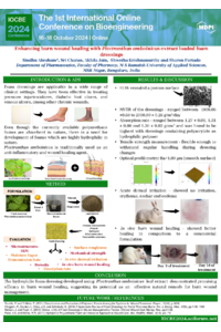 sciforum-101144 -IOCBE2024.pdf
