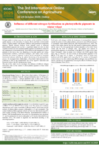 POSTER Influence of different nitrogen fertilization on photosynthetic pigments in winter wheat.pdf