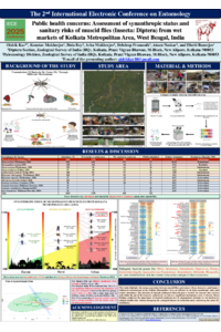 2nd IECE Poster_Oishik_Kar_sciforum-113458.pdf