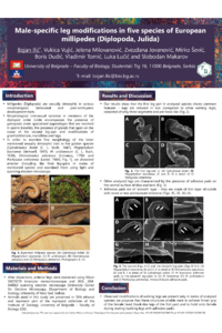 Ilic et al - IECE2025.pdf