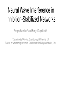 ECEA-1_Presentation_Neural Wave Interference_Savel'ev-Gepshtein.pdf