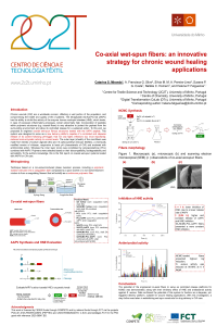 sciforum-065570-Poster Applied Sciences.pdf
