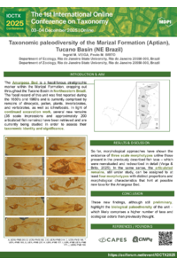 Veiga & Brito OCTX.pdf