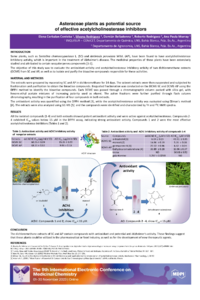 9th-ECMC_Poster_ECC corregsr.pdf