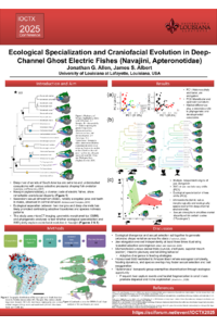 Allen_IOCoT_Poster_2025.pdf