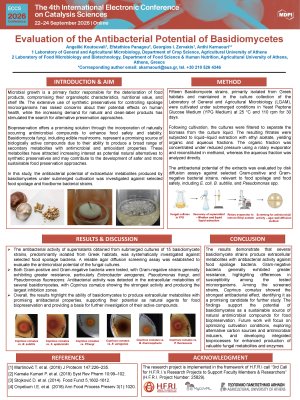ECCS_2026_KOUTOUVALI.pdf