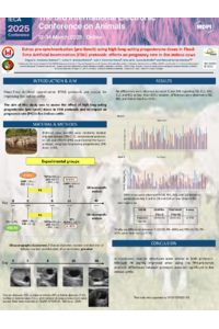 IECA2025Poster-110563.pdf