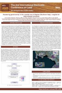 IECL 2025_Calandrelli_S2.pdf