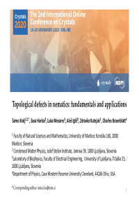 sciforum-037171.pdf