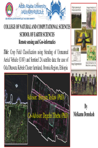 Melkamu D .Msc thesis presentation.pdf
