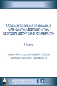 Presentation of G.Carotenuto.pdf