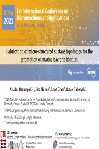 Ariadni Droumpali_ICMA 2021.pdf
