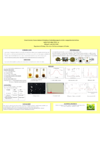 Ragavi -Poster - Sciforum 108008.pdf