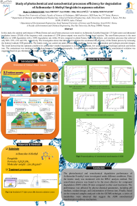 sciforum-059906-Poster.pdf