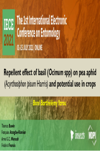 Presentation_YBB.pdf