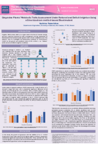 Poster ECEWS 2025.pdf