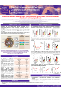 poster IECAN Nencini.pdf
